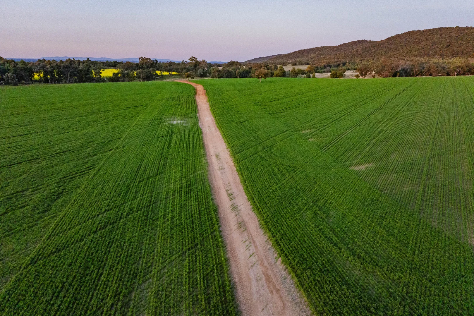 Additional image 5 of 134 Greenbergers Lane, Temora NSW 2666