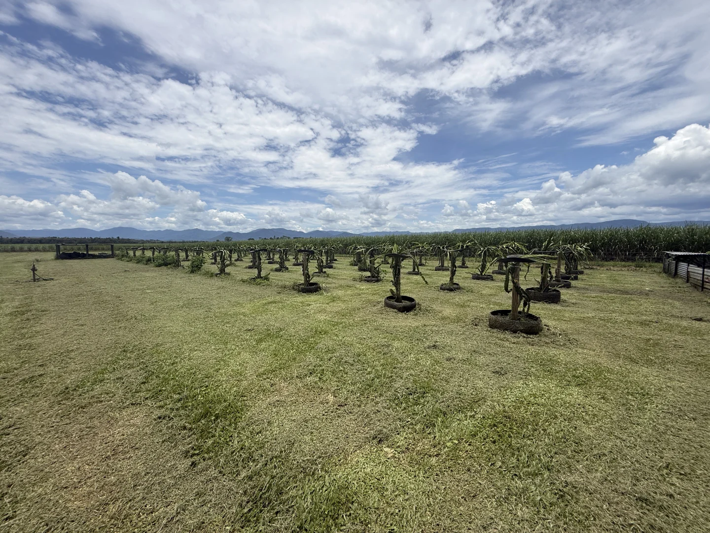 Additional image 8 of Munro Plains QLD 4854