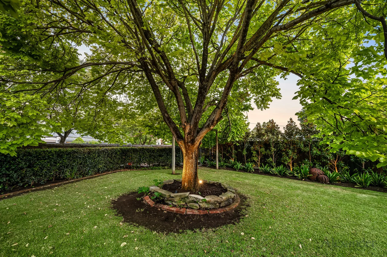 Additional image 38 of 20 Jellicoe Avenue, Kings Park SA 5034