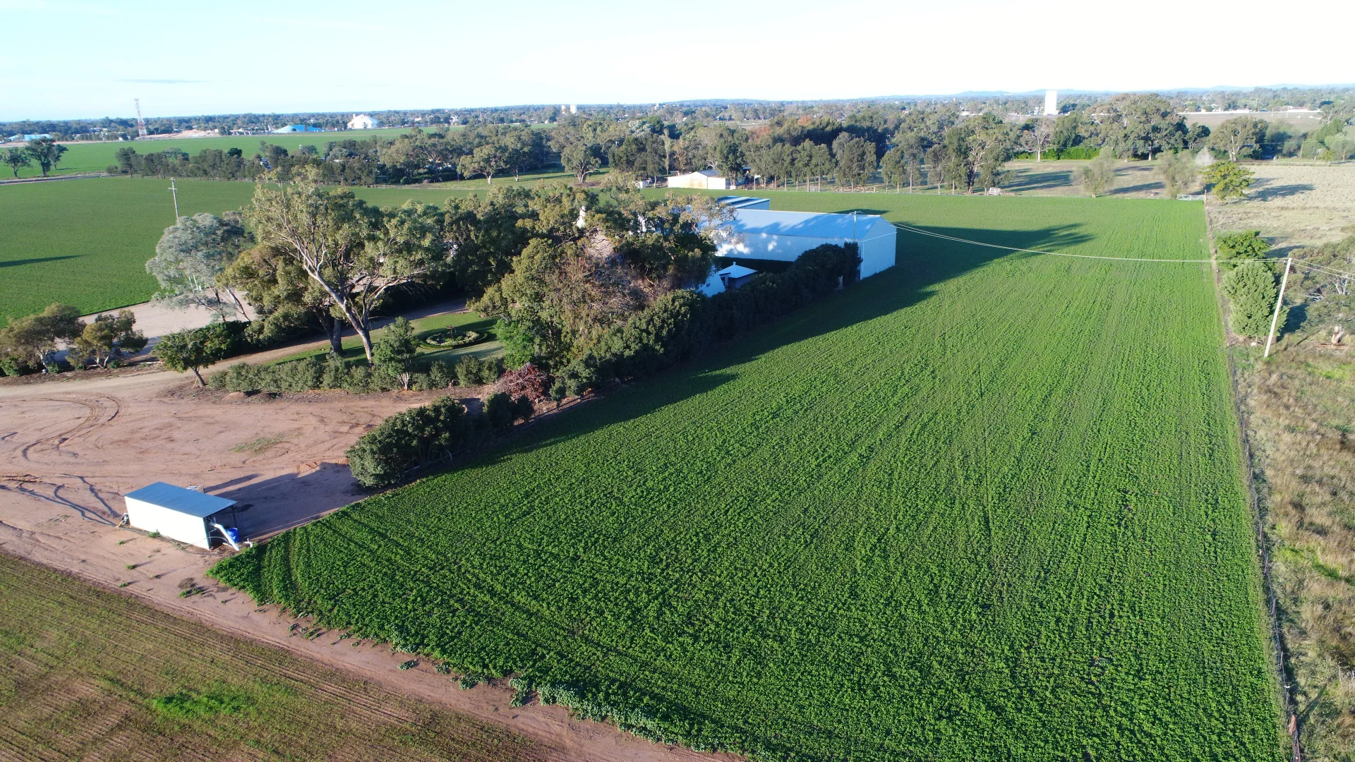 Additional image 12 of 149 Old Backwater Rd, Narromine NSW 2821