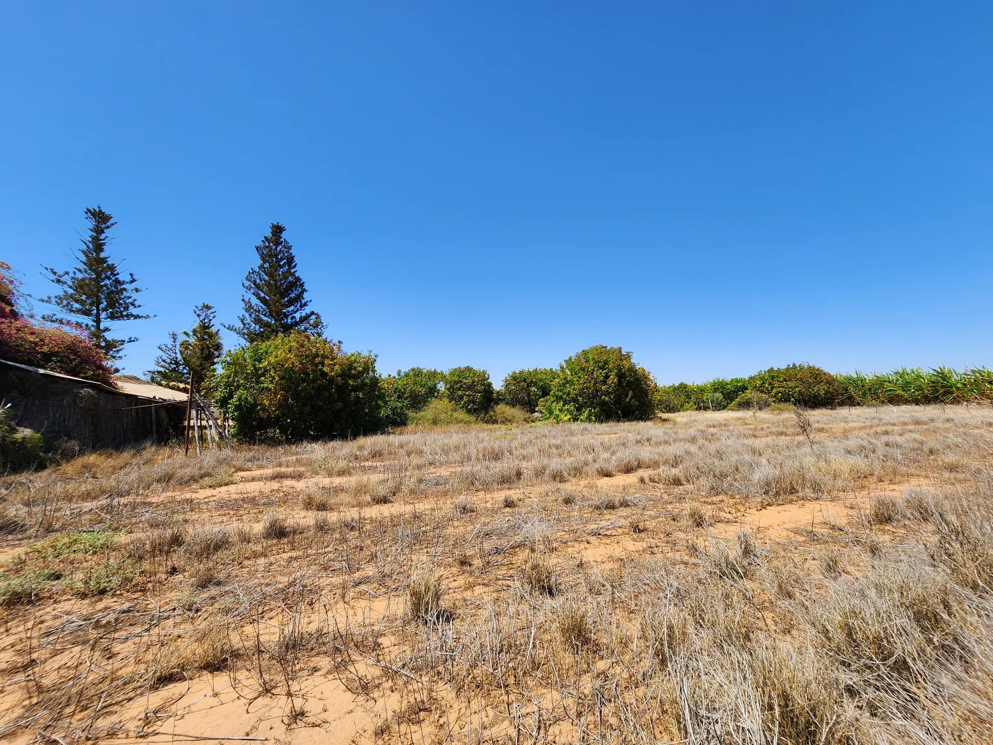 Additional image 20 of 178 South River Road, Carnarvon WA 6701