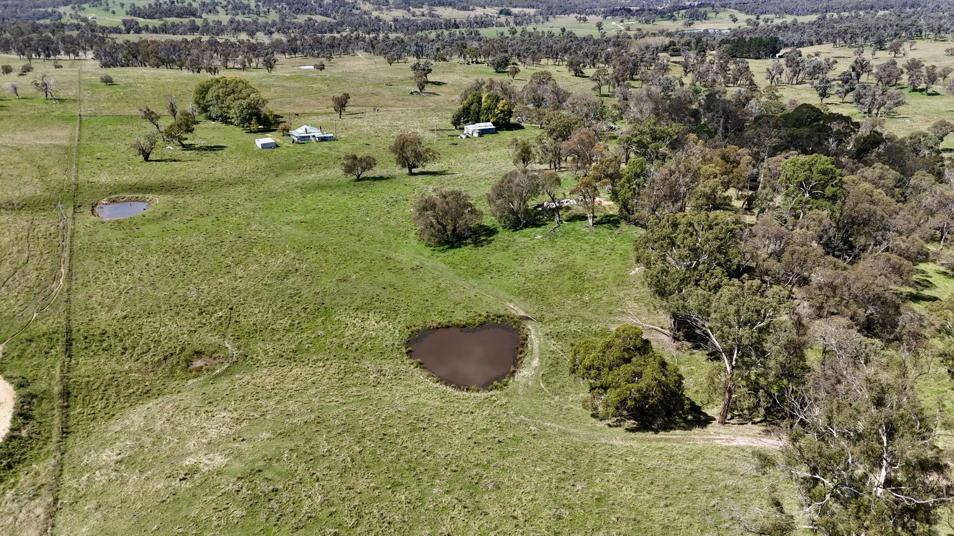 Additional image 14 of 3256 Niangala Rd, Walcha NSW 2354