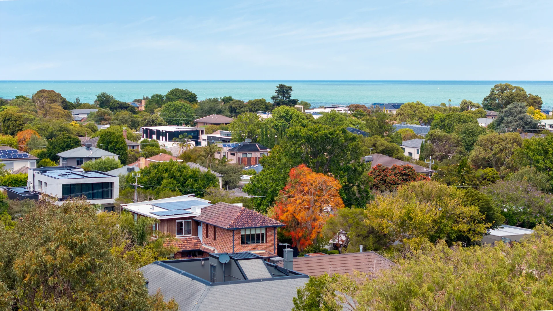 Additional image 18 of 20 Lynette Avenue, Beaumaris VIC 3193