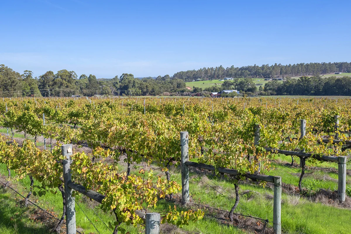 Additional image 7 of 635 Bramley River Road, Osmington WA 6285