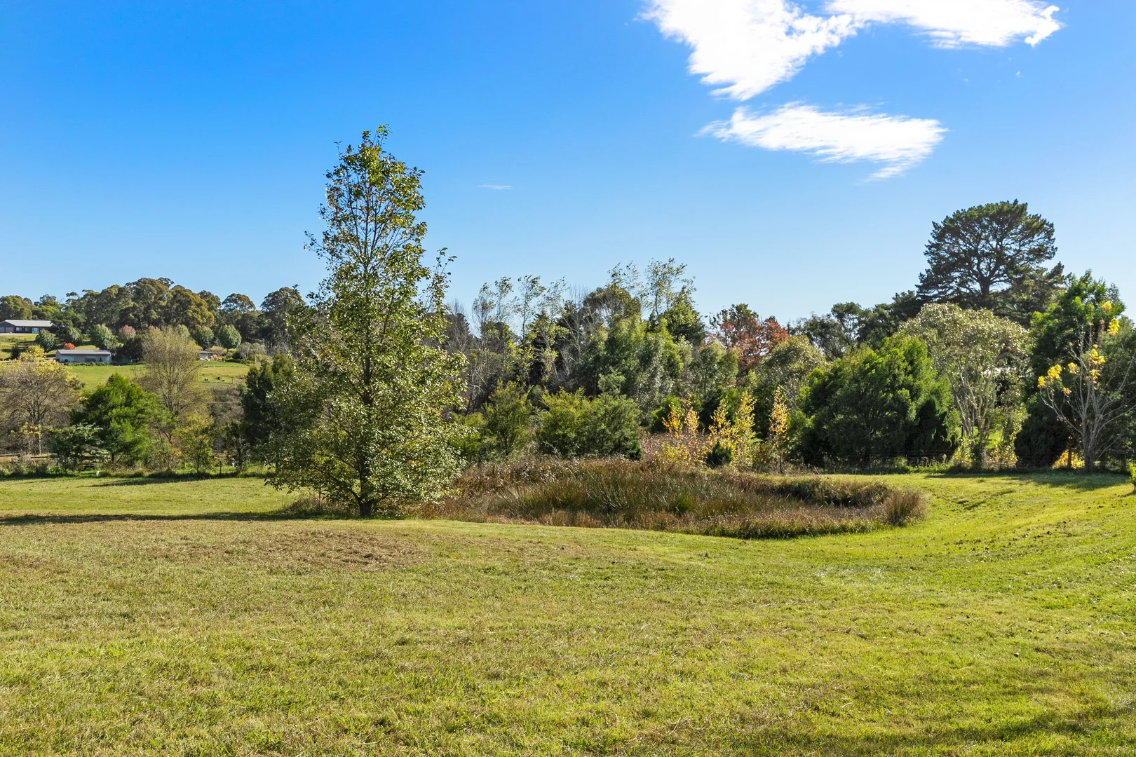Additional image 17 of 4 Burke Street, Majors Creek NSW 2622