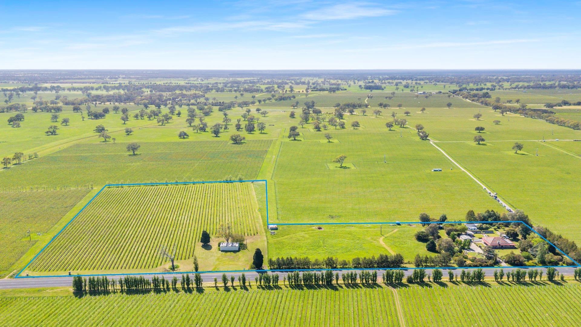 14687 Riddoch Hwy, Coonawarra SA 5263