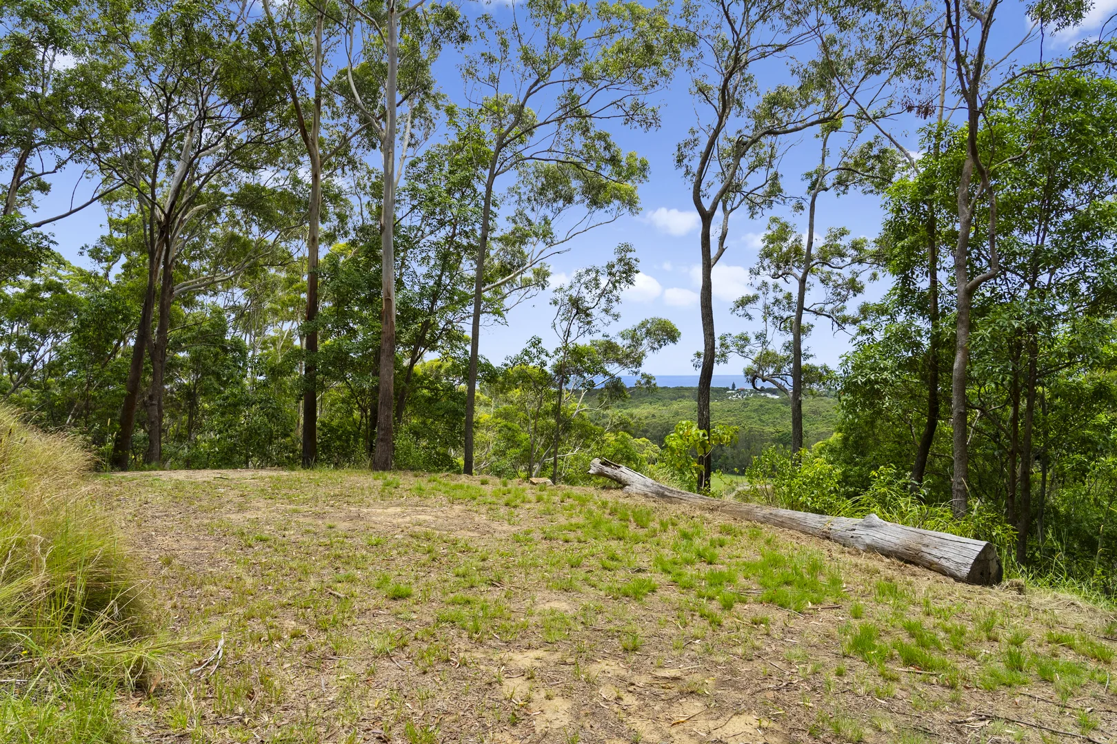 Additional image 14 of 144 Round Mountain Road, Round Mountain NSW 2484
