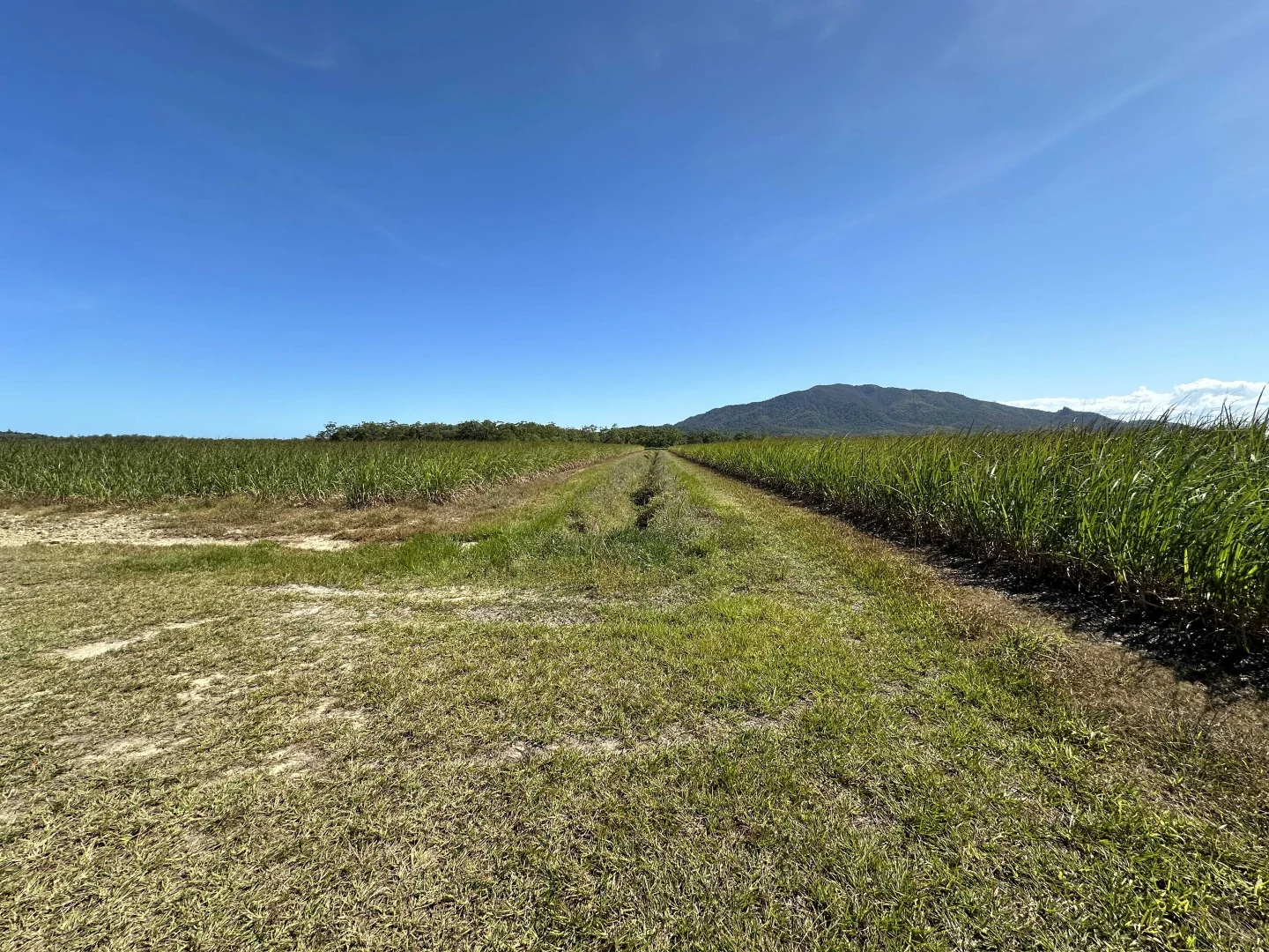 Additional image 30 of East Feluga QLD 4854