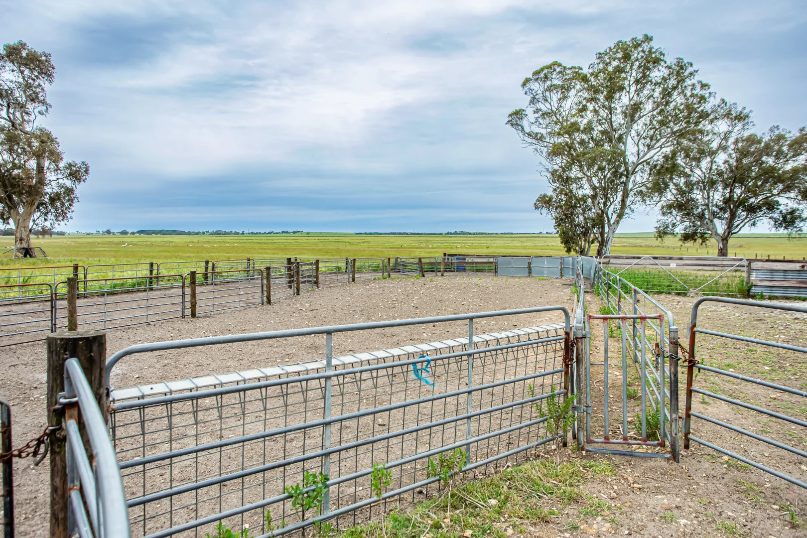 Additional image 19 of Corner Roy Lawries road and Pedericks Road, Lochaber SA 5271