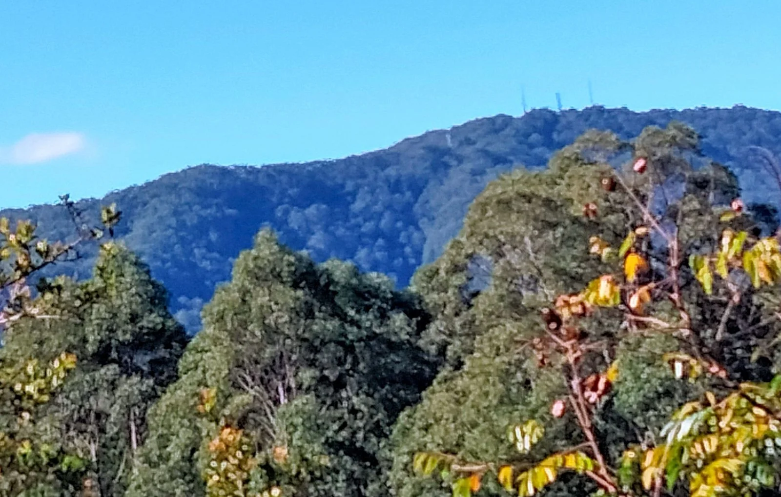 Additional image 4 of 58 Main Street, Eungai Creek NSW 2441