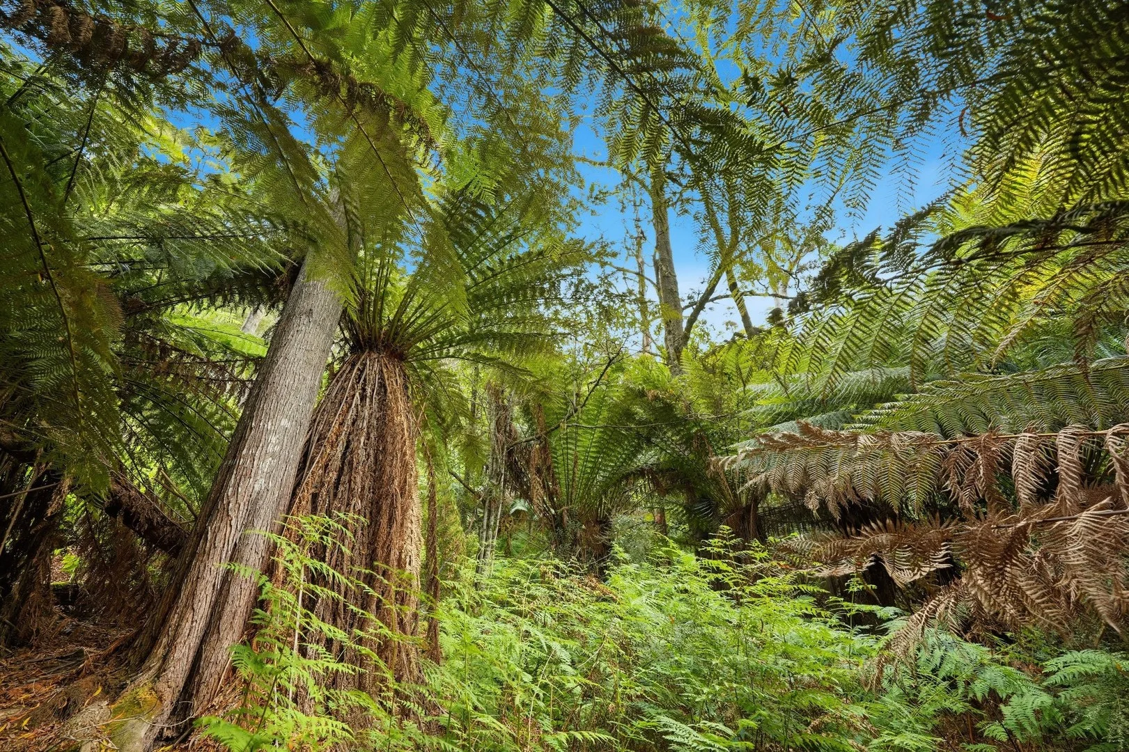 107 Wielangta Road, Kellevie TAS 7176