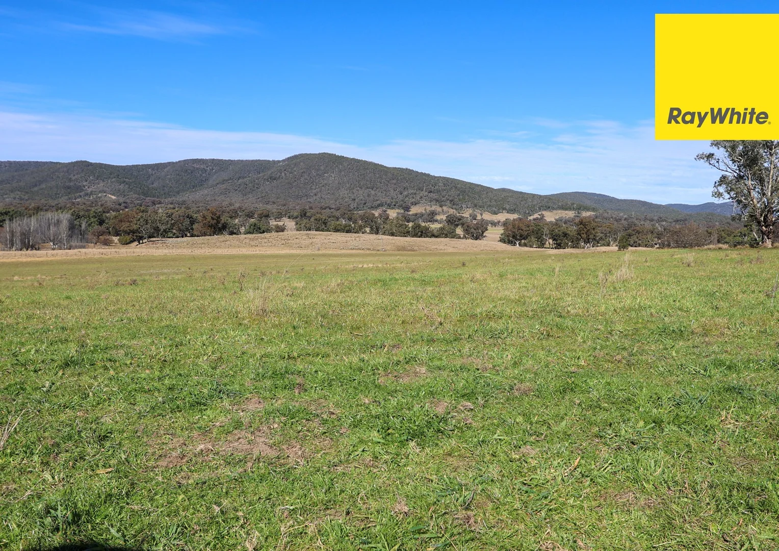 Additional image 8 of 406 Dry Creek Road, Inverell NSW 2360