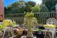 Additional image 3 of Nore Road, Portishead, North Somerset, BS20