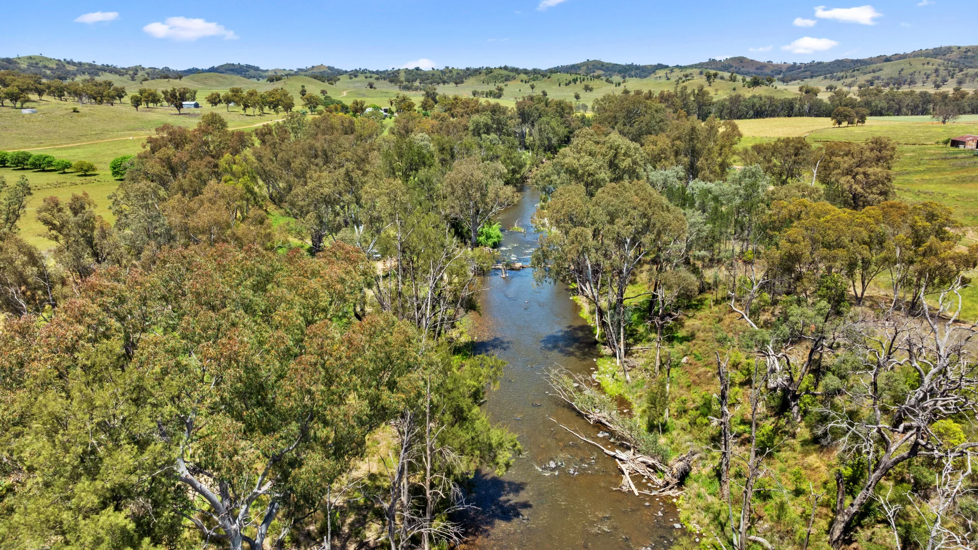 Additional image 16 of "Riverside" 826 Wittagoona Road, Halls Creek NSW 2346