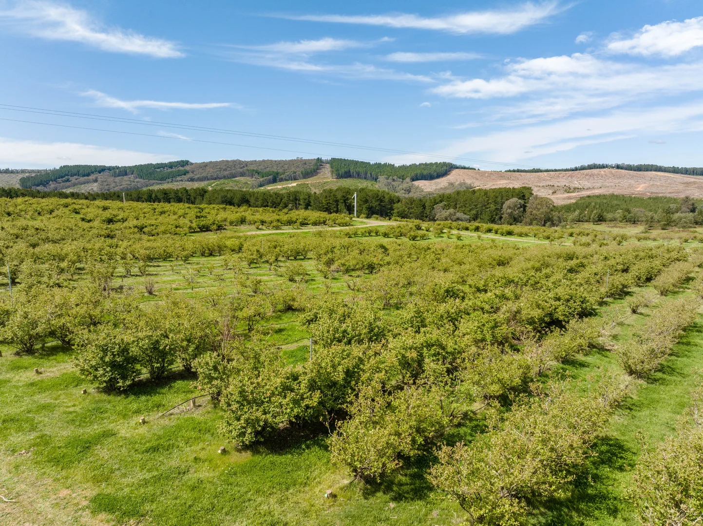 Additional image 3 of Courabyra NSW 2653