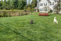 Additional image 121 of 5 Autumn Creek Ln, East Amherst, NY, 14051