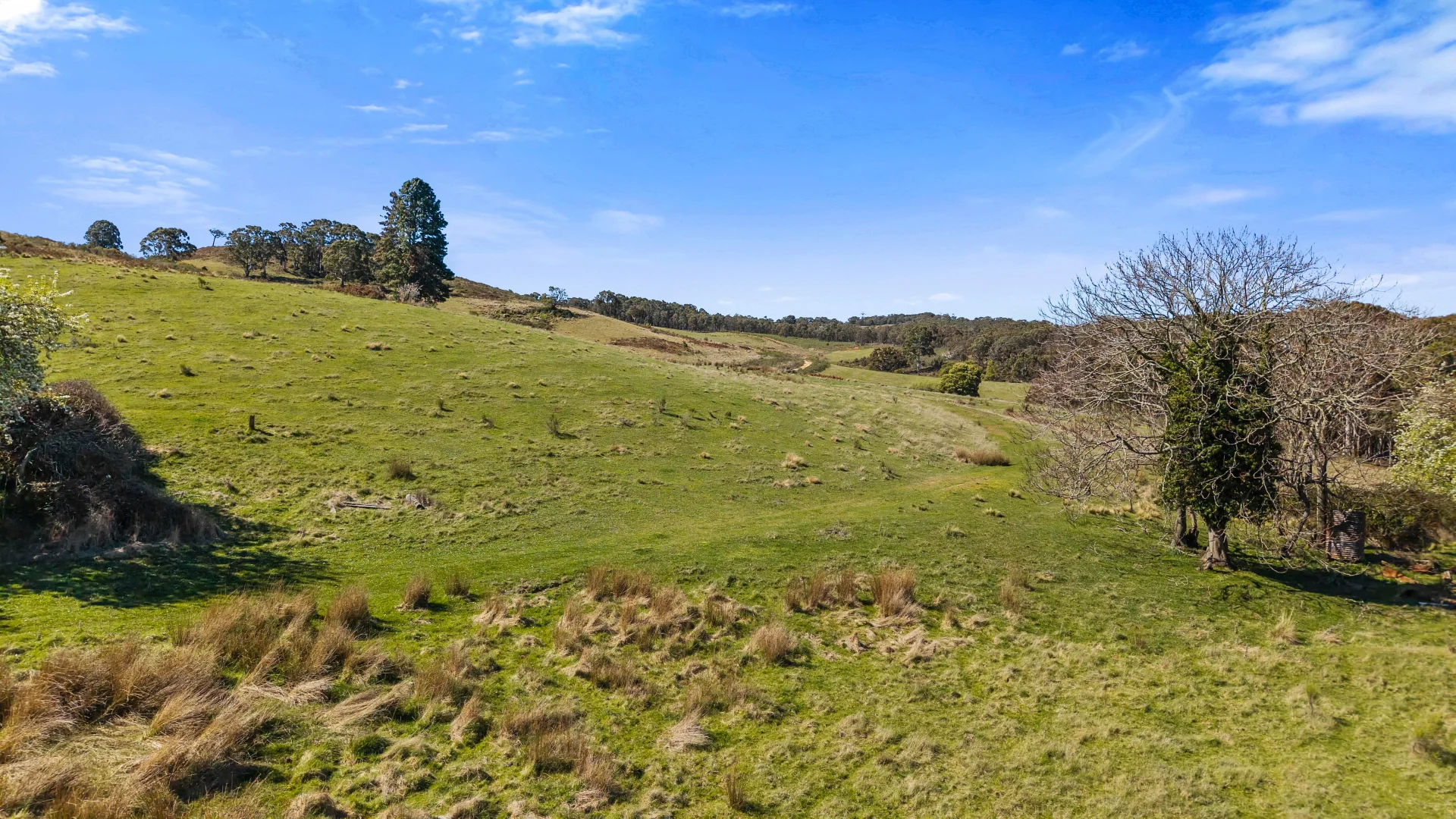 Additional image 28 of 5733-5734 Abercrombie Road, Paling Yards NSW 2580