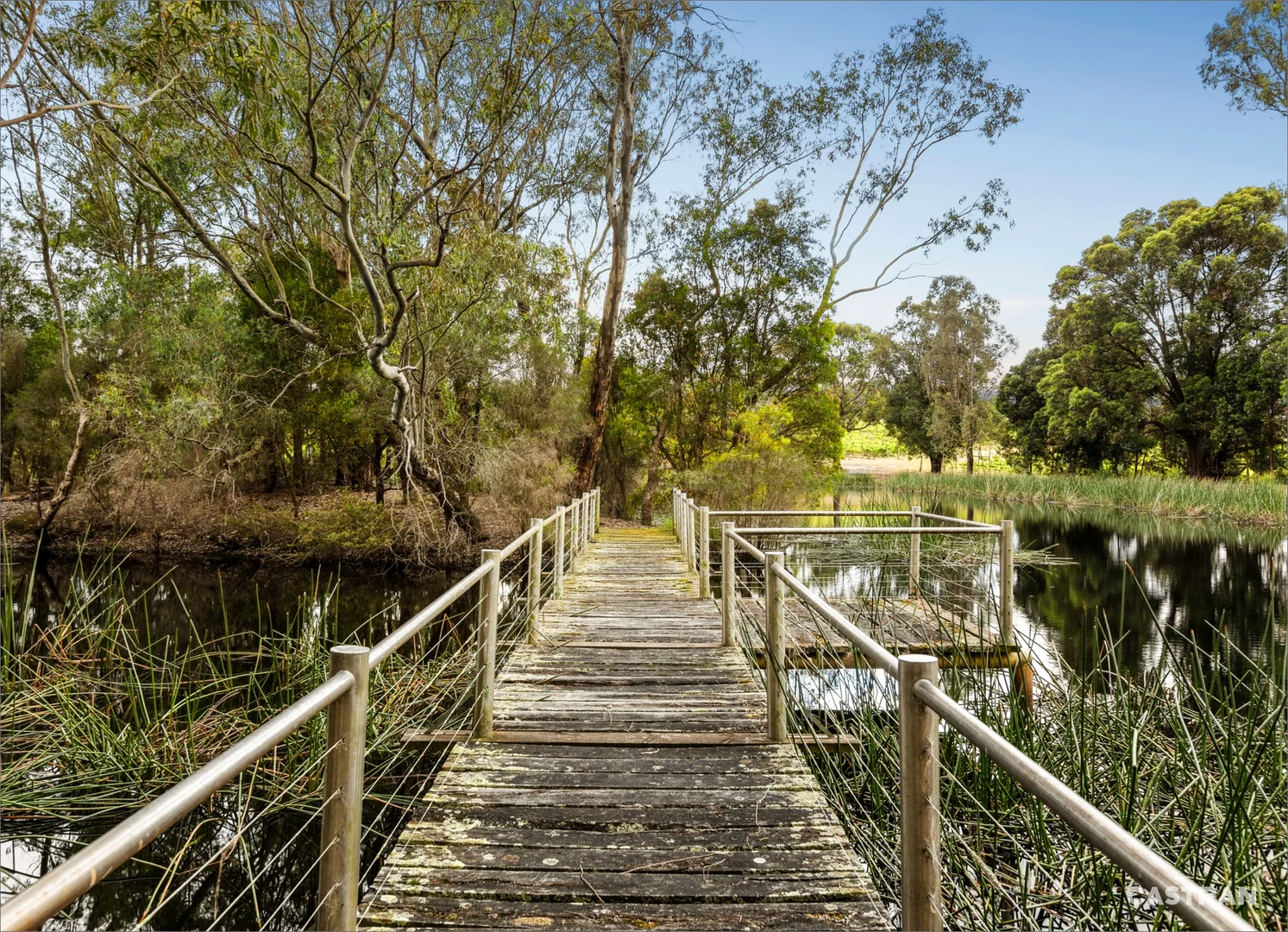 Additional image 27 of 110 Wills Road, Dixons Creek VIC 3775