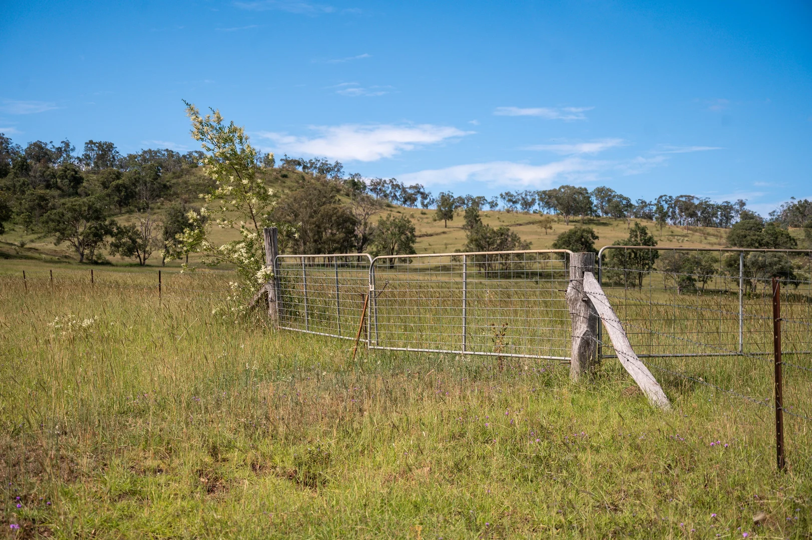 Additional image 23 of 1006 North Branch Road, Goomburra QLD 4362