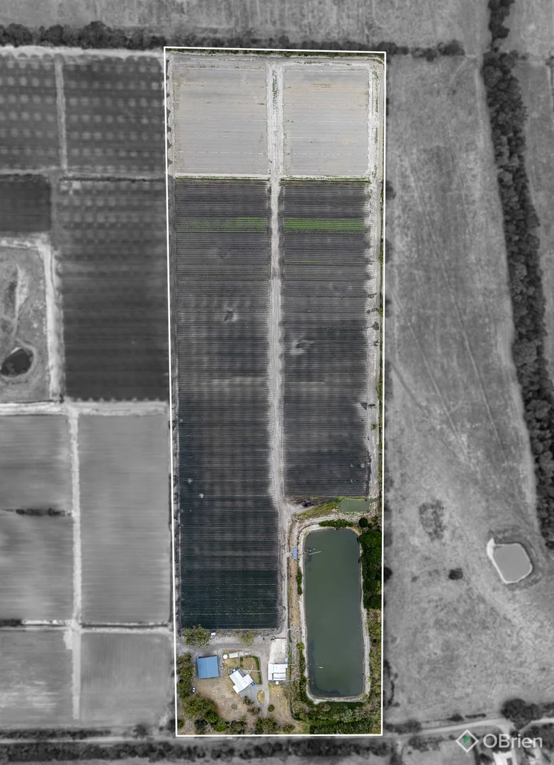 Additional image 2 of 230 Milners Road, Lang Lang East VIC 3984