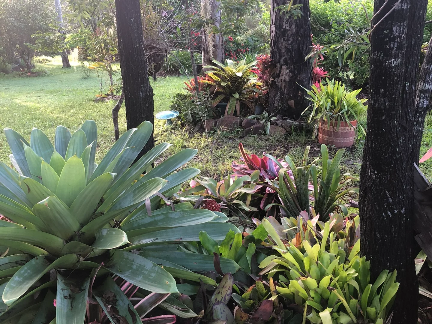 Additional image 10 of 847 Old Gympie Road, Paterson QLD 4570