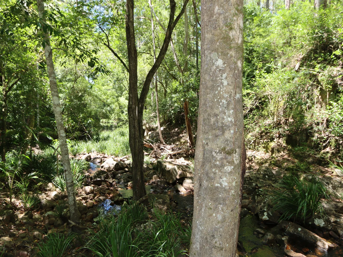 Additional image 7 of 62 Holey Flat Lane, Moorland NSW 2443