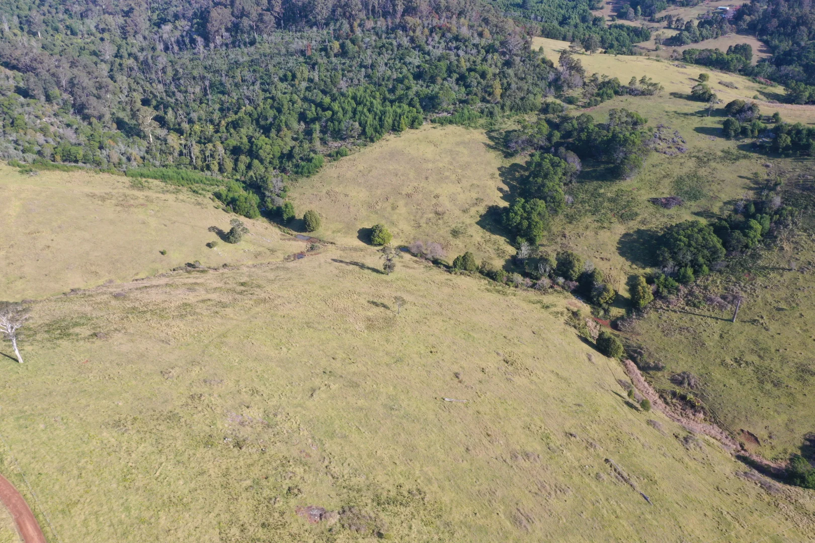 Additional image 29 of Lot 23 Fourter Road, Nethercote NSW 2549