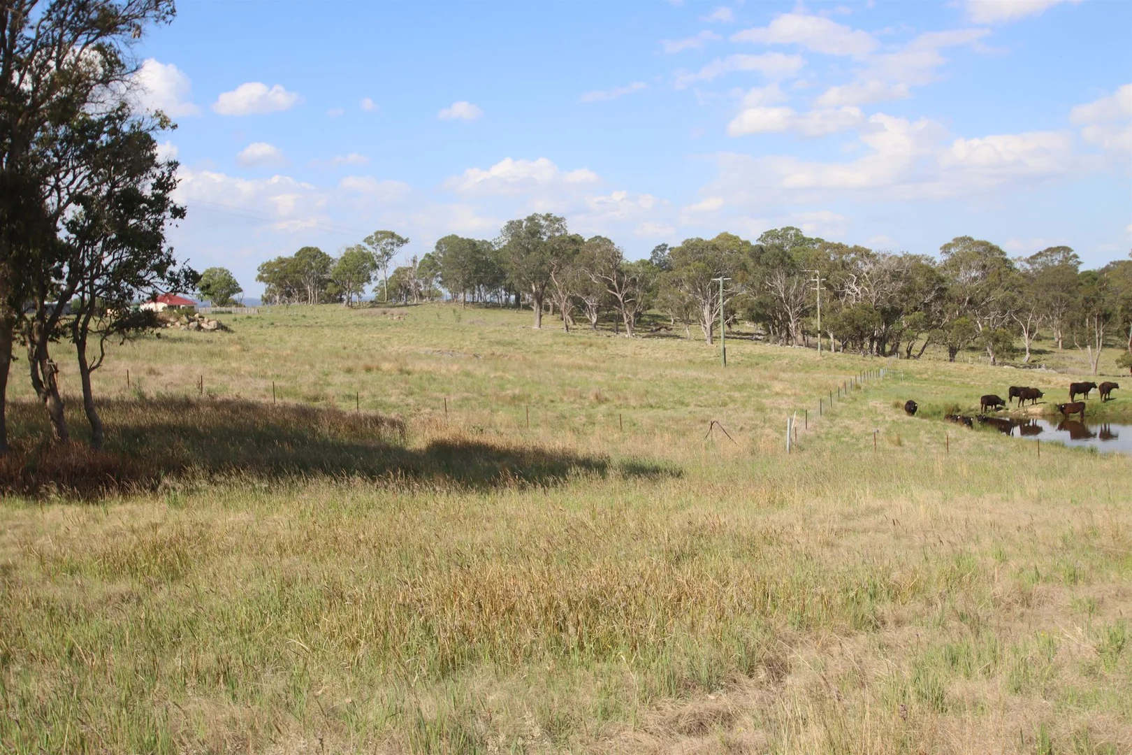 Additional image 6 of 130B Sunnyside Loop Road, Tenterfield NSW 2372