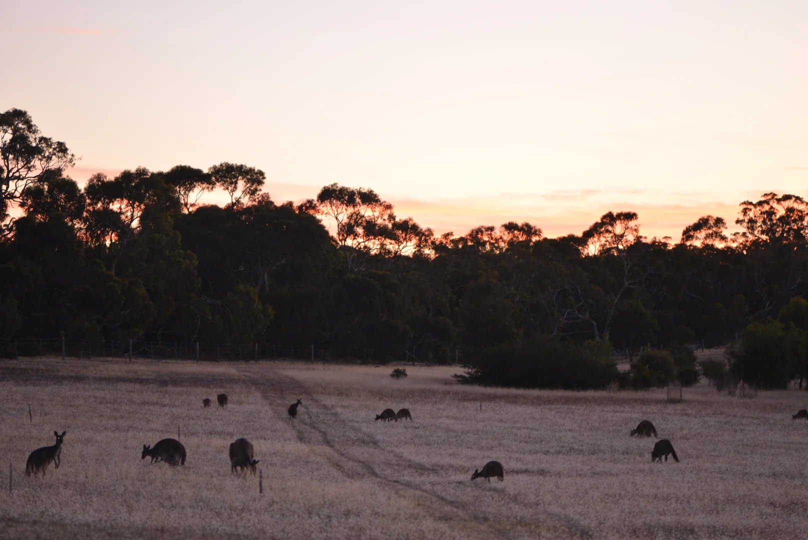 Additional image 32 of 839 Signal Flat Road, Finniss SA 5255