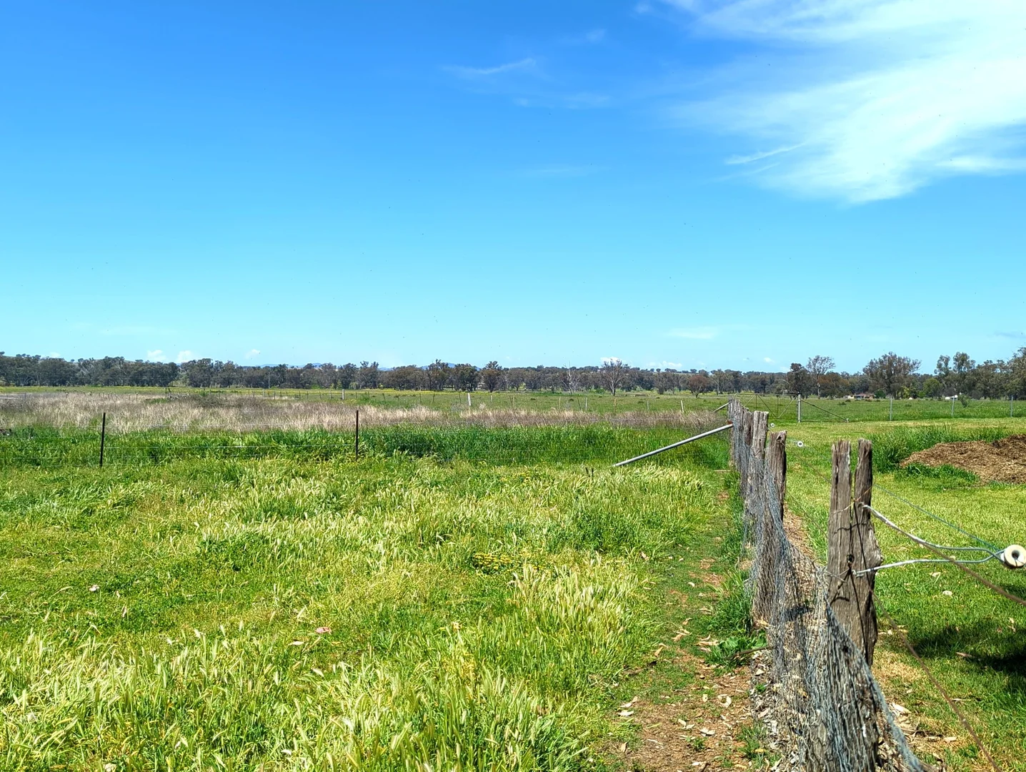 Additional image 9 of 5082 Werris Creek Road, Warral NSW 2340