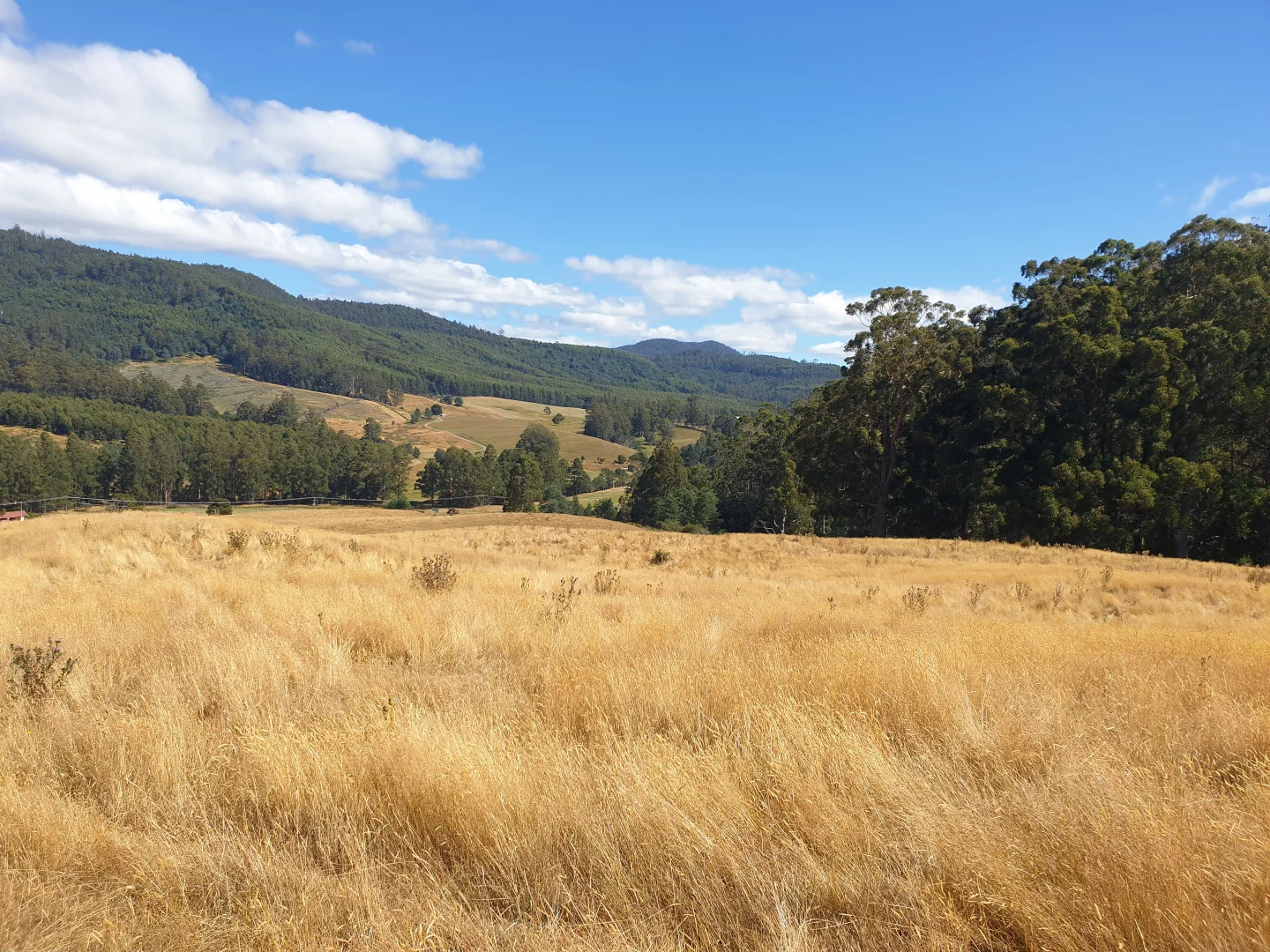 Additional image 8 of Lot 1 Huon Highway, Dover TAS 7117