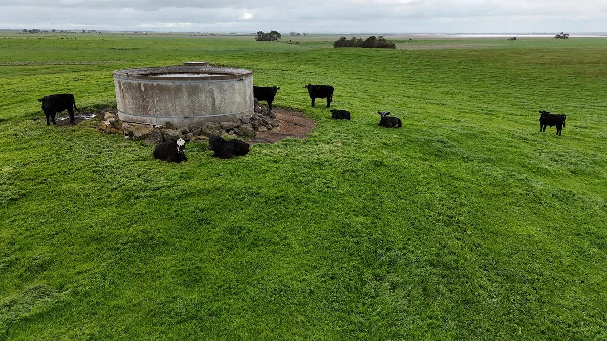 Additional image 4 of 215 Cundare-Duverney Road, Cundare North VIC 3251