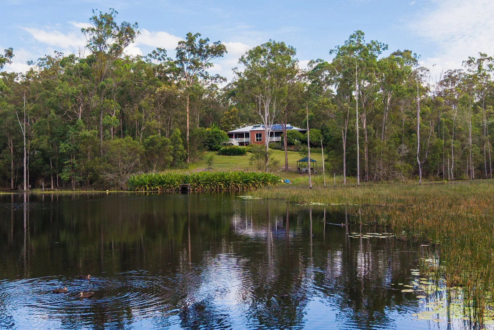 Additional image 21 of 296 Lowe Road, Bollier QLD 4570