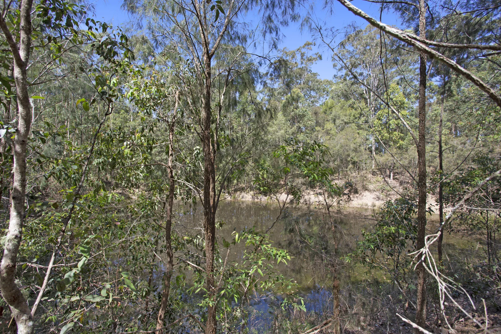 Additional image 16 of 115 Suncrest Close, Bulahdelah NSW 2423