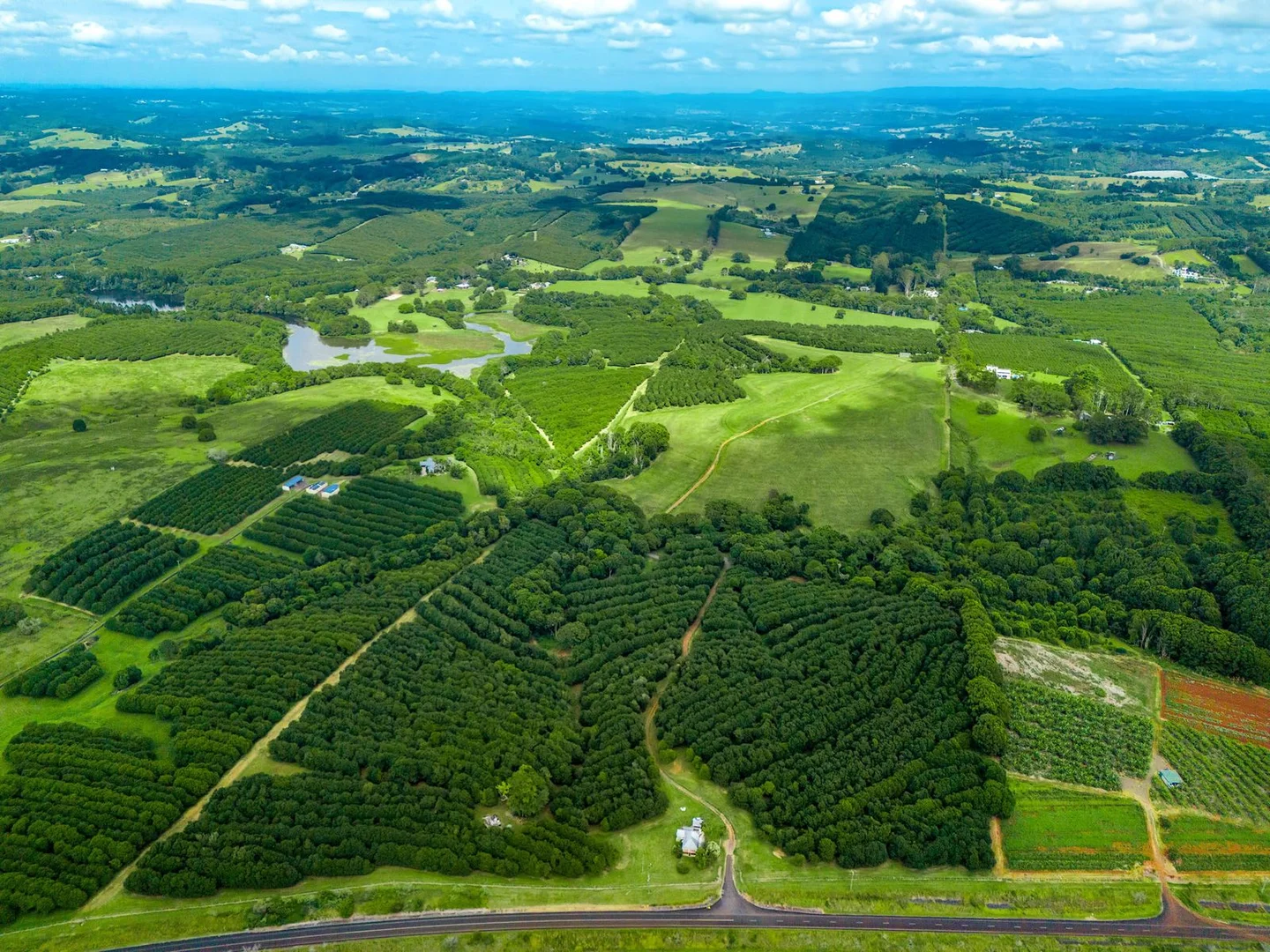 Additional image 12 of 323 Alcorn Road, Knockrow NSW 2479