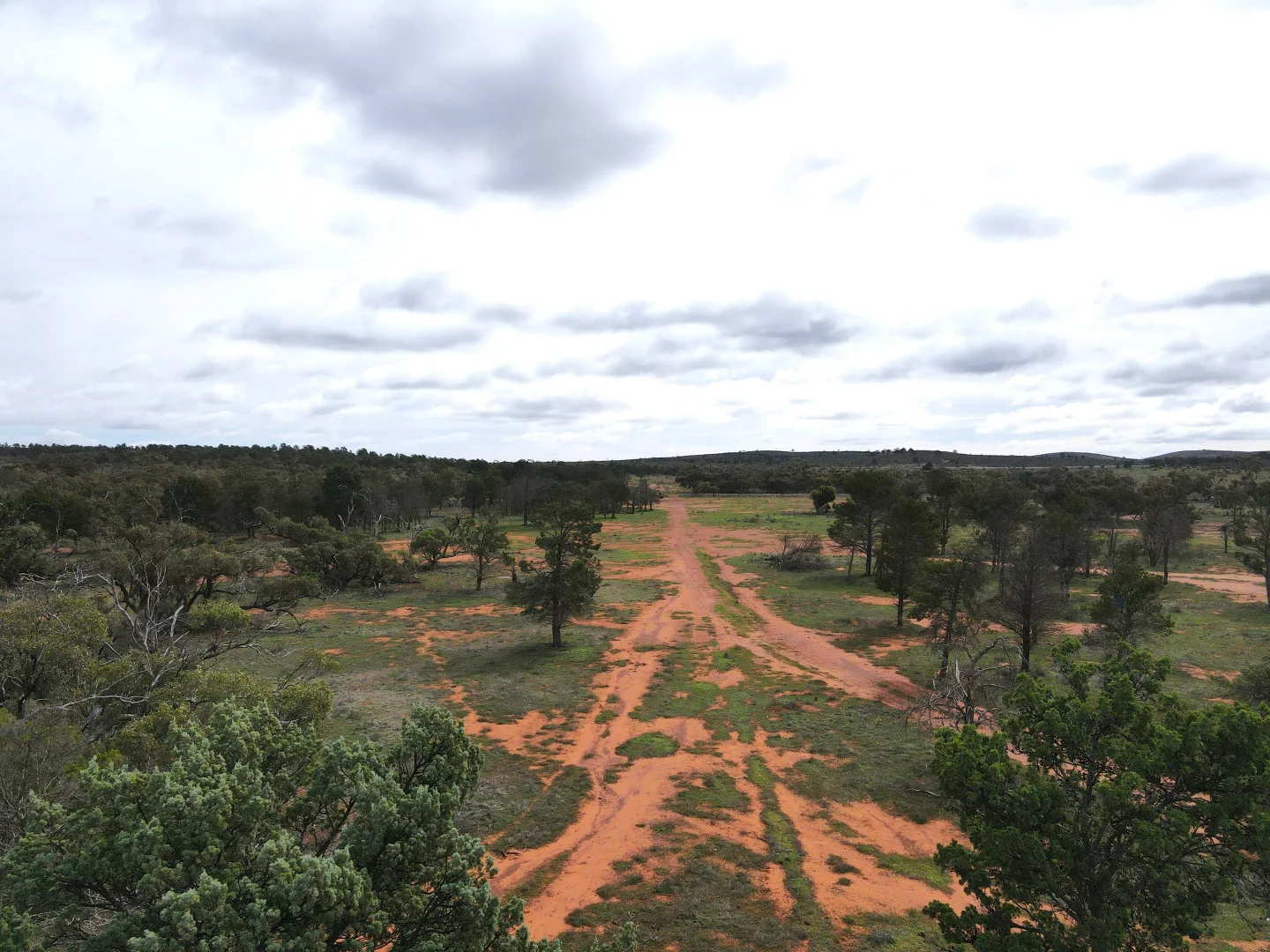 Additional image 14 of "Peechara Hills East Barrier Hwy, Nackara SA 5440