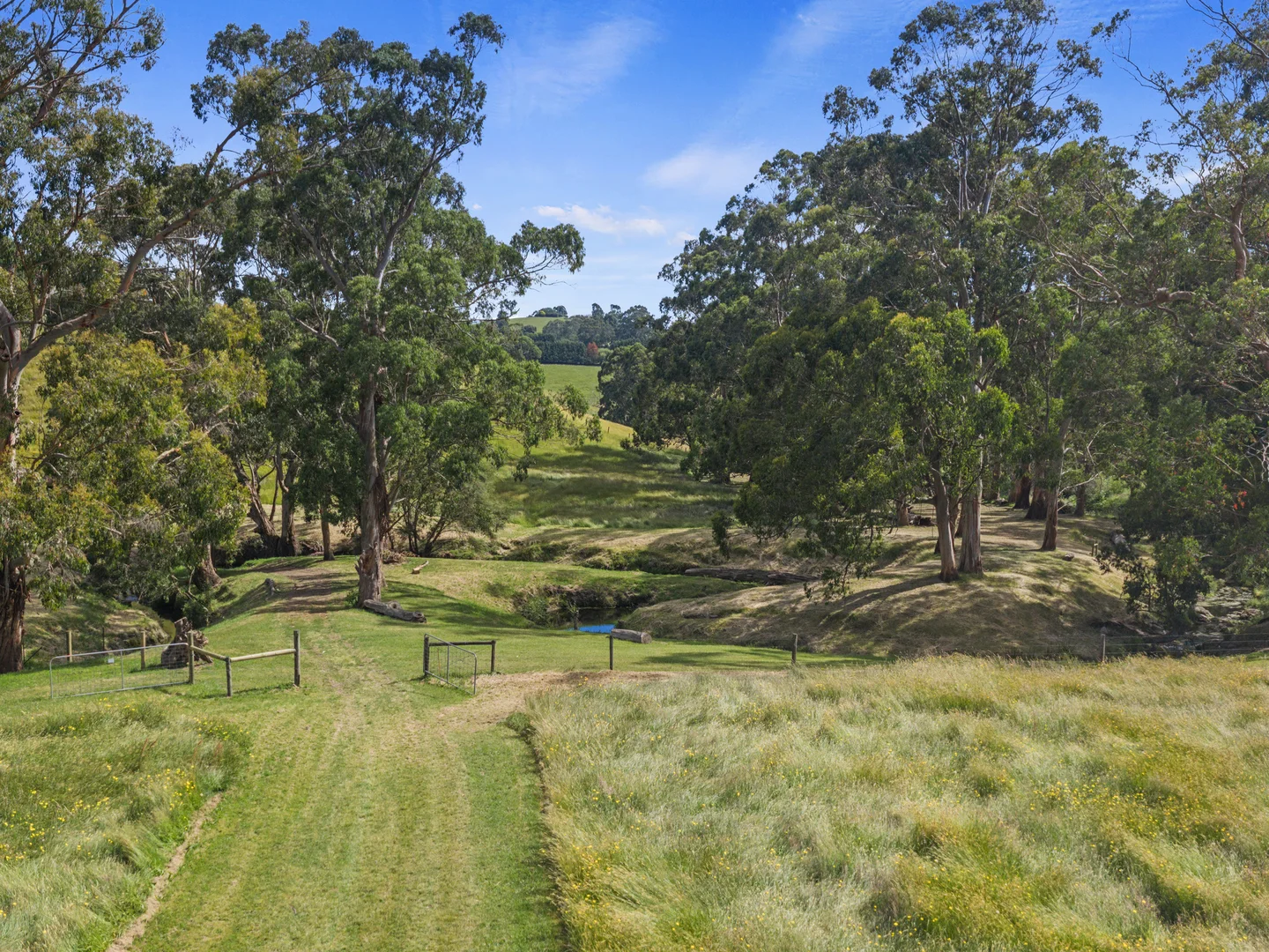 Additional image 22 of 8795 South Gippsland Highway, Korumburra VIC 3950