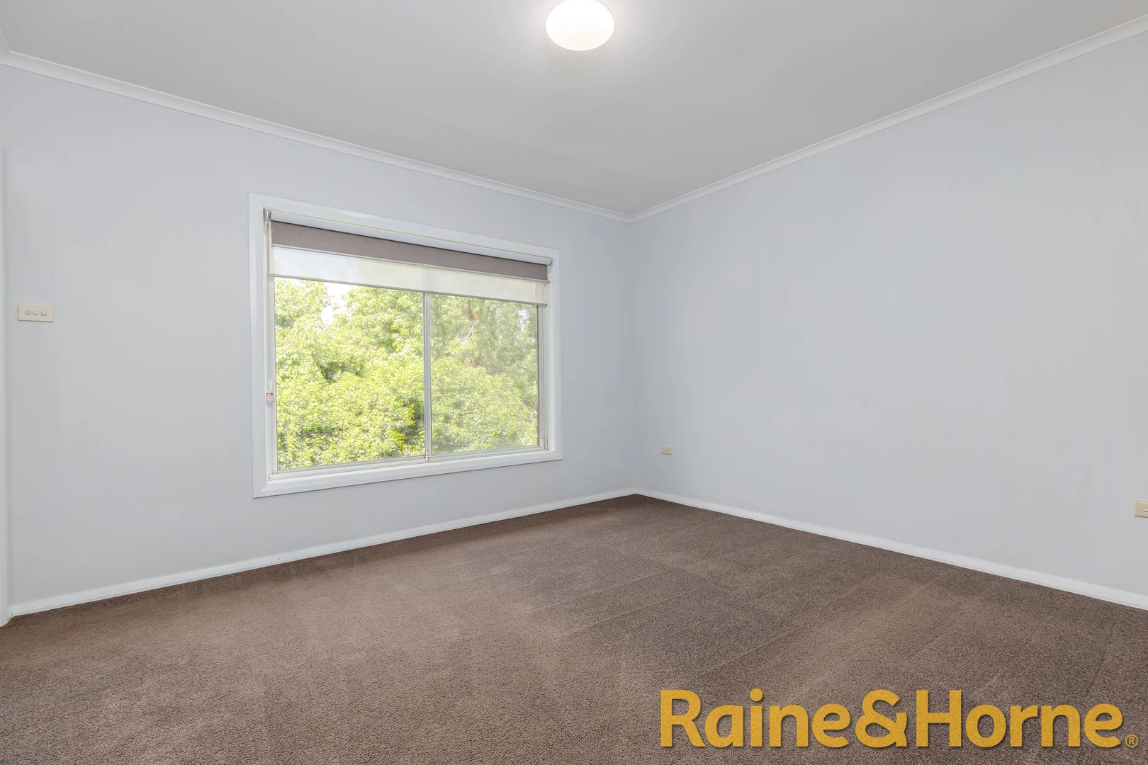 Additional image 6 of 409 Fitzroy Street, Dubbo NSW 2830