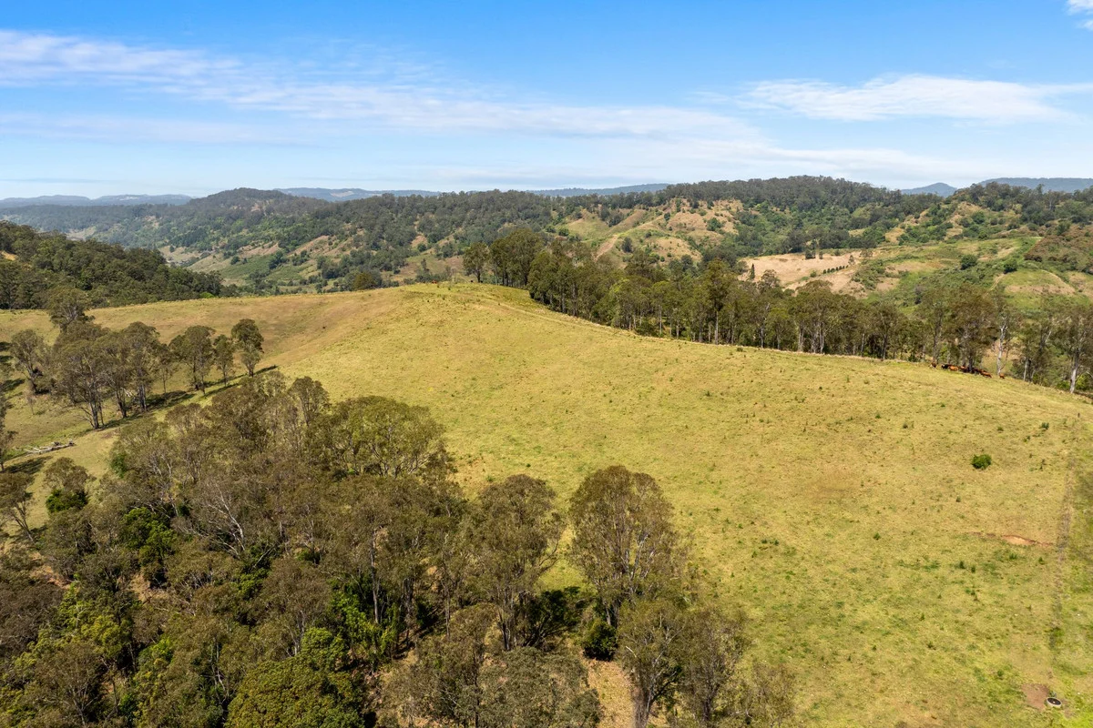 Additional image 31 of 383 Bice Road, Leycester NSW 2480