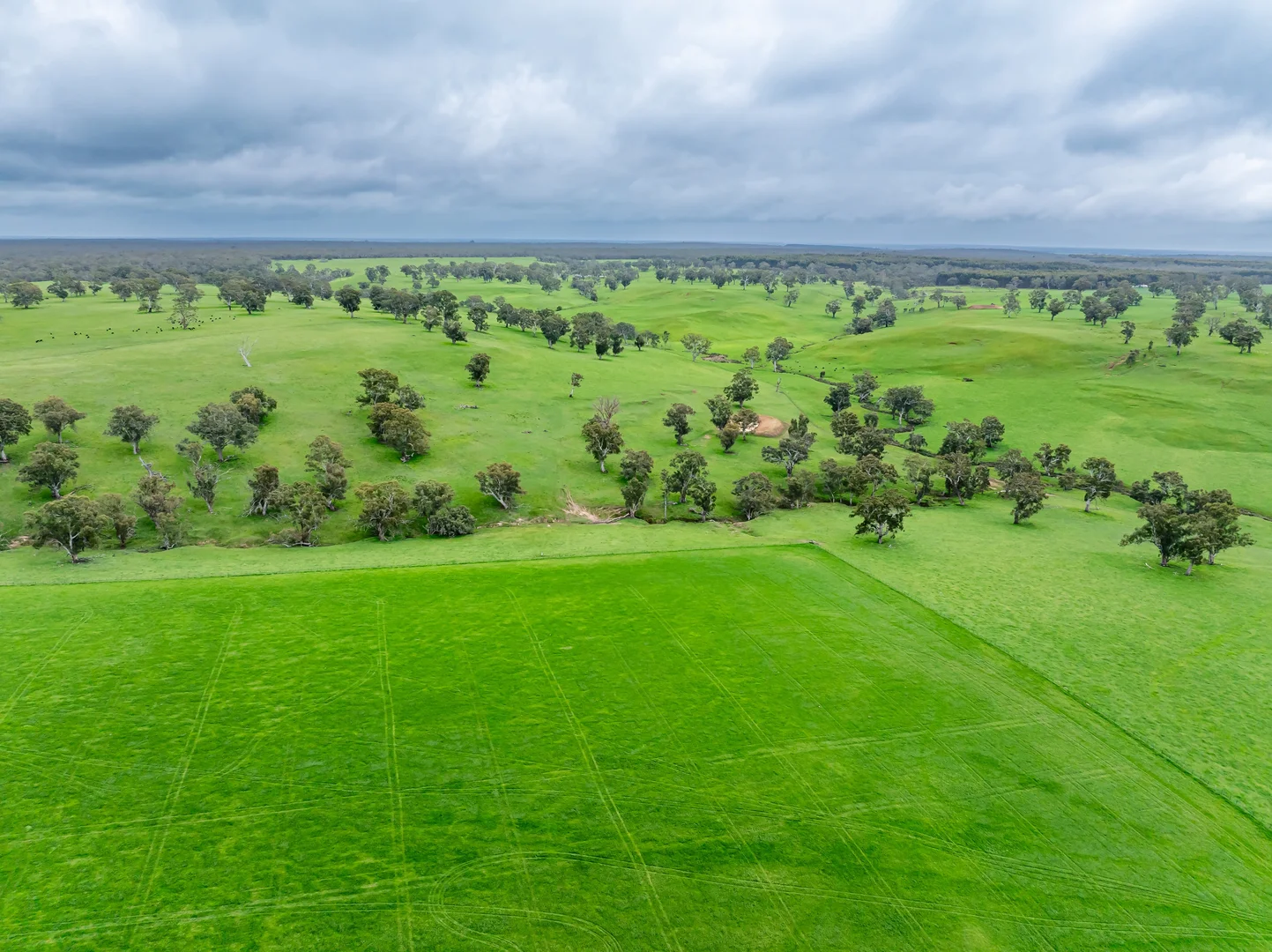 Additional image 2 of 3155 Casterton-Edenhope Road, Chetwynd VIC 3312