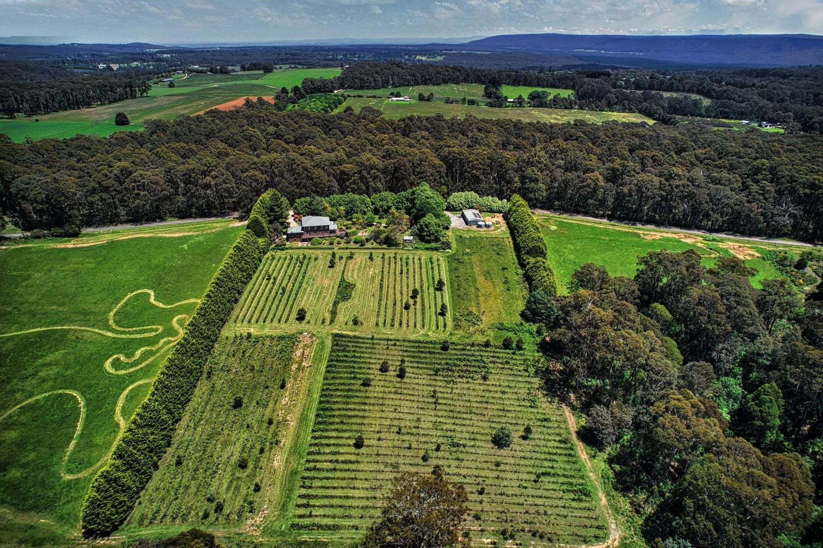 Additional image 15 of 486 Extons Road, Kinglake Central VIC 3757