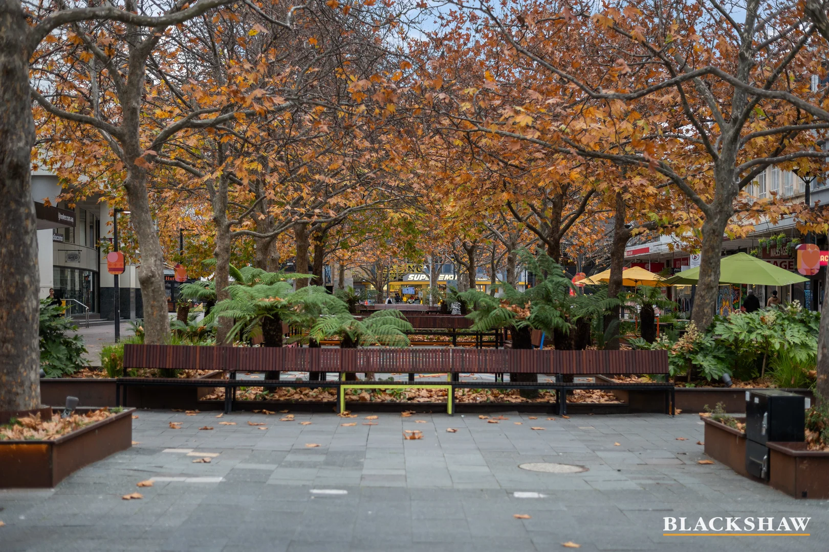 Additional image 24 of 68/43 Constitution Avenue, Reid ACT 2612