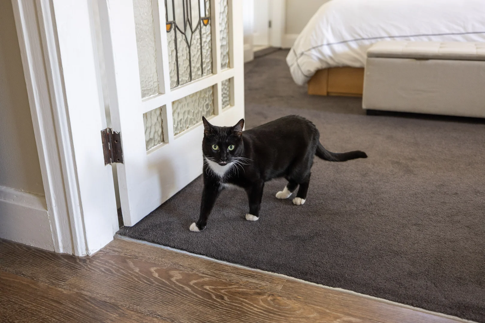 Additional image 21 of 10 Junction Street, Gladesville NSW 2111