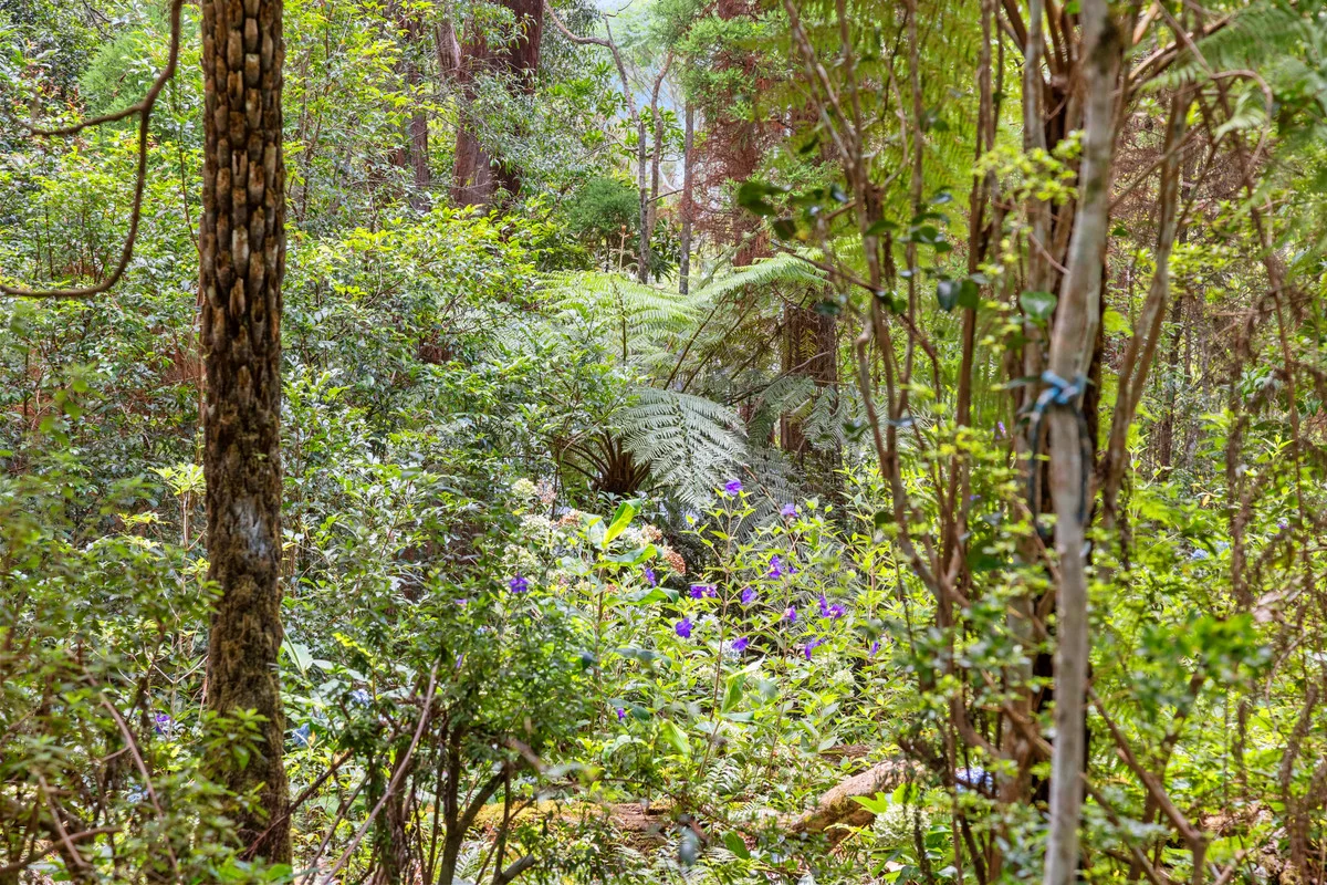 Additional image 13 of 5 Banksia Road, Springbrook QLD 4213