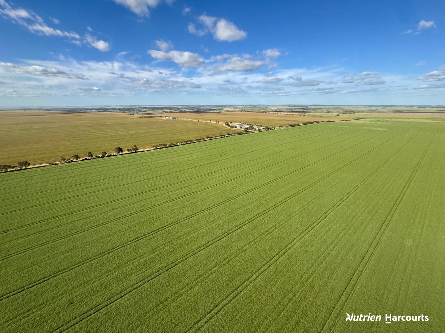 Additional image 6 of 533 Yandanooka West Road, Arrino WA 6519