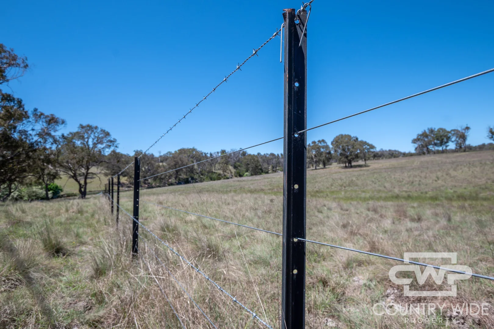 Additional image 25 of 954 Bullock Mountain Road, Glen Innes NSW 2370