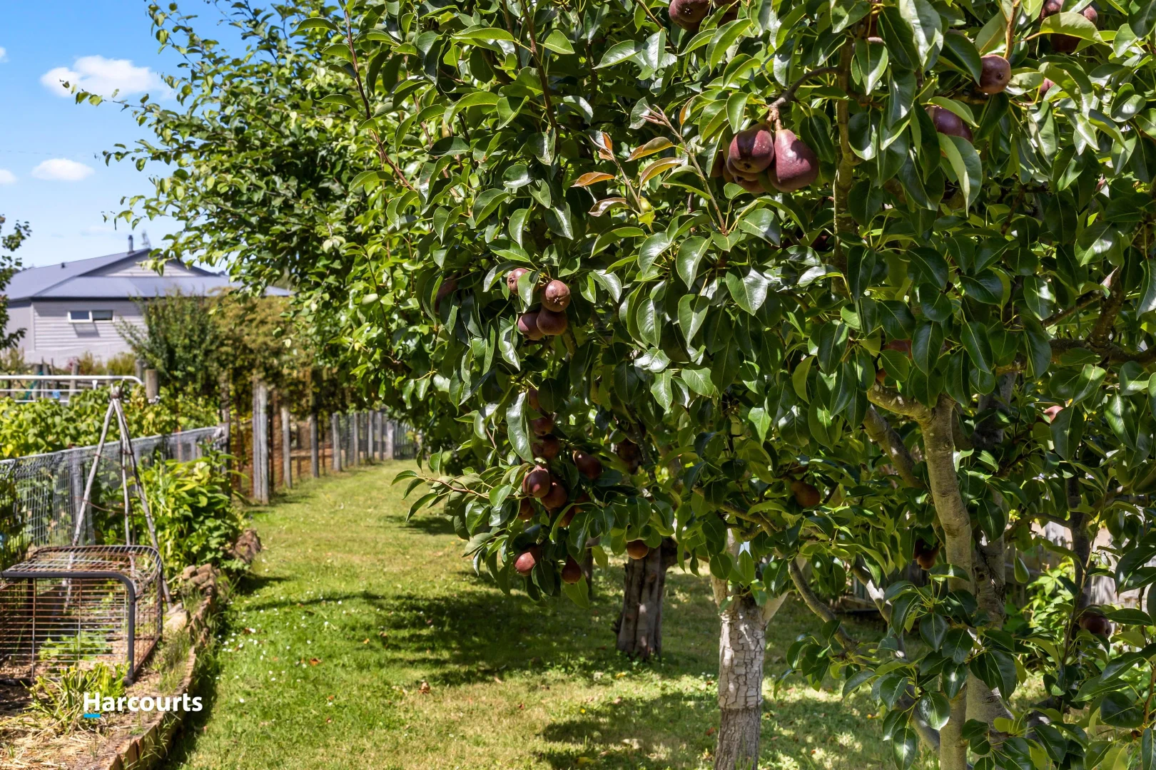 Additional image 24 of 11 Langridge Road, Gardners Bay TAS 7112