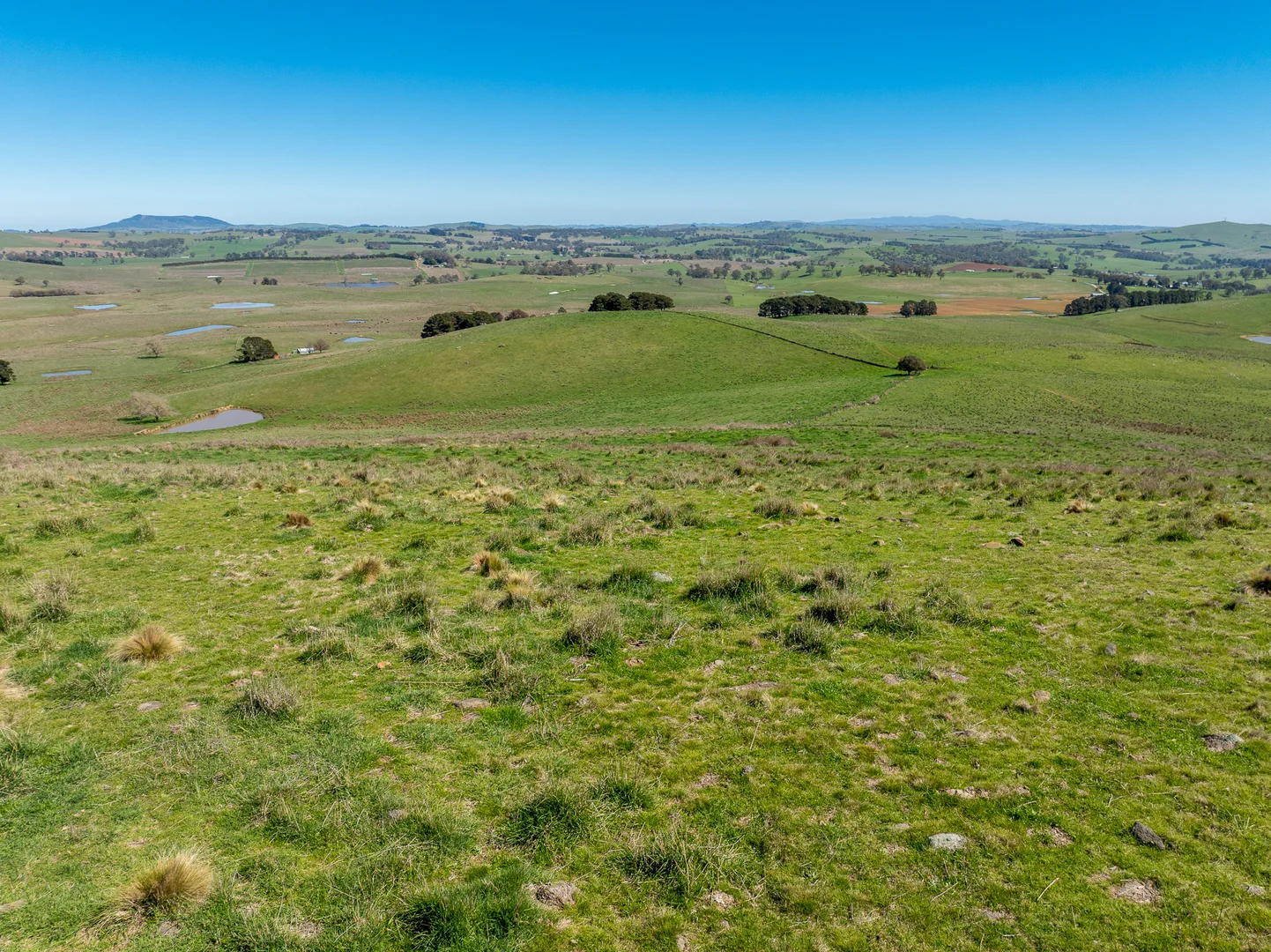 Additional image 2 of 242 Bundaleer Road, Newbridge NSW 2795