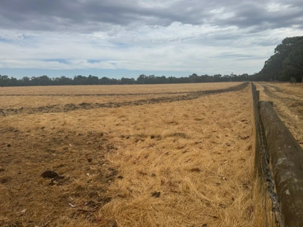 Additional image 6 of 321 Lightbody Road, Mardella WA 6125