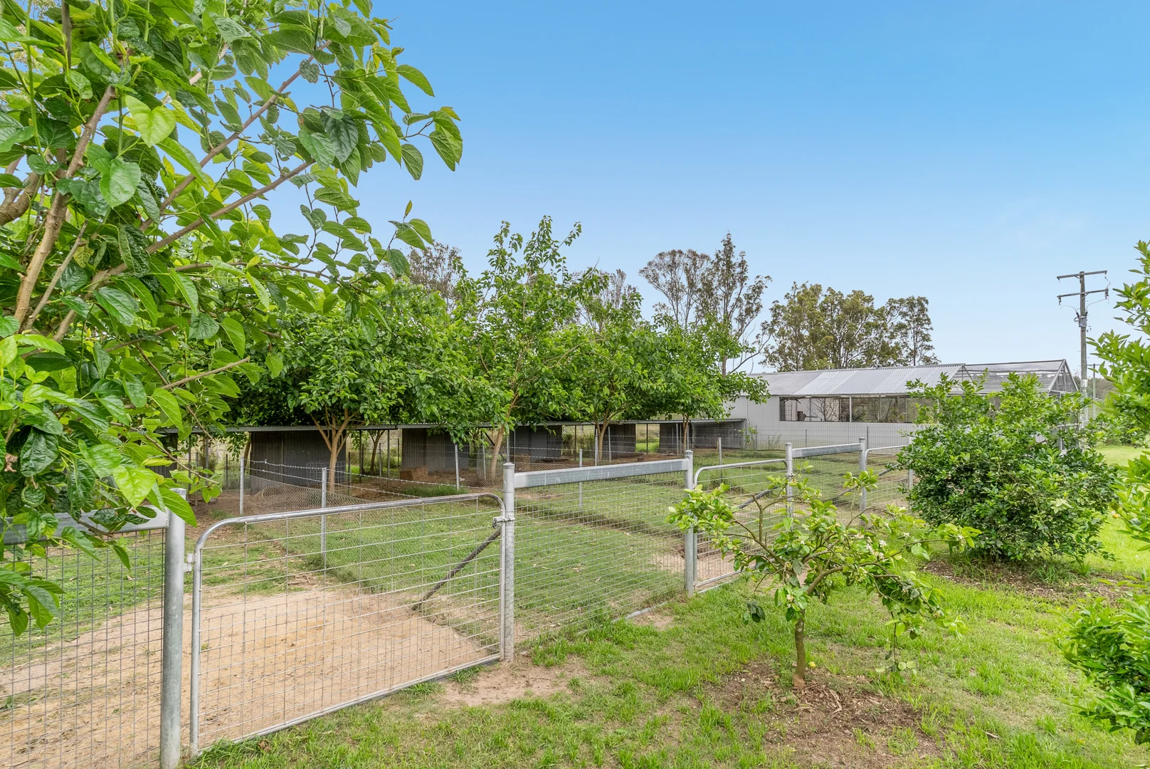 Additional image 31 of 1139 Old Dyraaba Rd, Lower Dyraaba NSW 2470